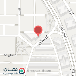 عکس خودپرداز