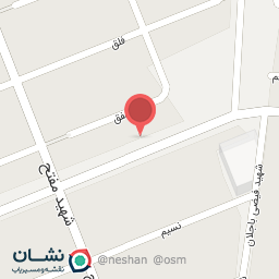 عکس پیتزا دوقلو