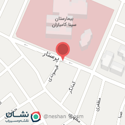 عکس فست فود چاویلان