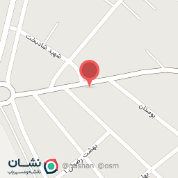 عکس ساندویچ و پیتزا چهارفصل