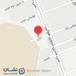 عکس تهیه غذای آریا