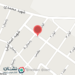 عکس برق خودرو سعید