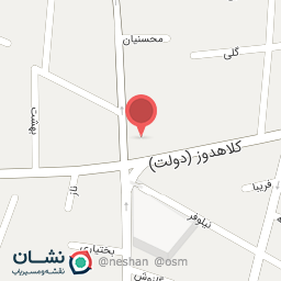 عکس دکتر مهدی شاه نظری