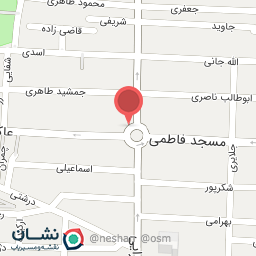 عکس فروشگاه آدیداس