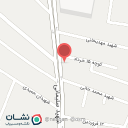 عکس کفش کارول