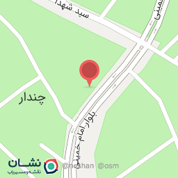 عکس پیتزا فست فود هانی