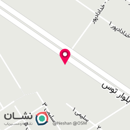عکس ترمزسازی رودینی