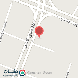 عکس کیف و کفش سیب