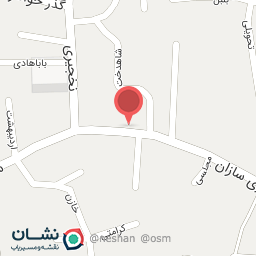 عکس ماهی زینتی سیلور