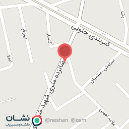 عکس فست فود امیر