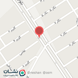 عکس فست فود 202