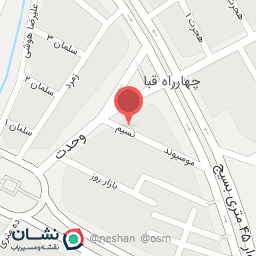 عکس خیاطی میخک نقره ای