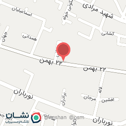 عکس فست فود 22