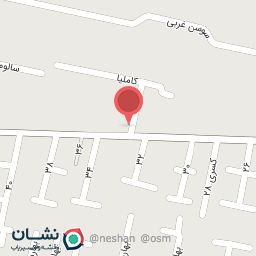 عکس فست فود دولپی