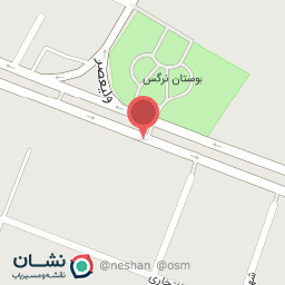 عکس موتور برق البرز نیازی (دیزل ژنراتور)