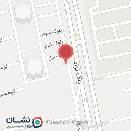 عکس تشک و بالشت گردنی خوش نشیمن