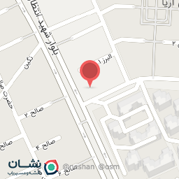 عکس فلافل نخل جنوب