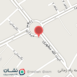 عکس تهیه غذای نگین