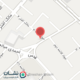 عکس کبابی امیر