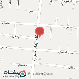 عکس برق خودرو تسلا