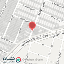 عکس فلابرگر ثامن الائمه