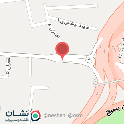 عکس افسران 8