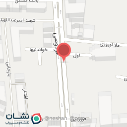 عکس فروشگاه دیانا