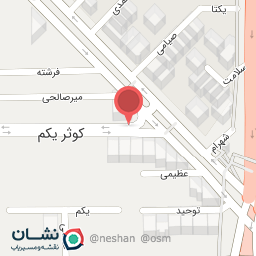 عکس اتو سرویس برادران بابایی