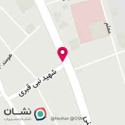 عکس کیف و کفش سورنا