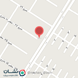 عکس کبابی علی دایی