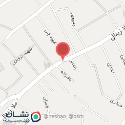 عکس مرغ پویا