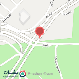 عکس قصابی موسی