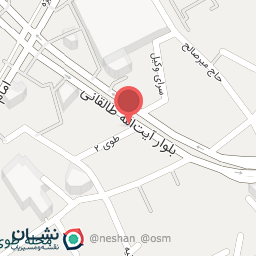 عکس کیف و کفش حسن زاده