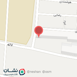 عکس قالی شویی مهر نفیس