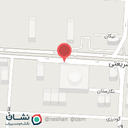 عکس نمایندگی اسکچرز