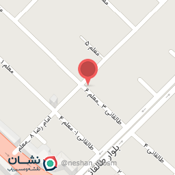 عکس موادغذایی حسین زاده