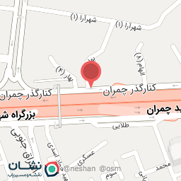 عکس نان فانتزی توشه 