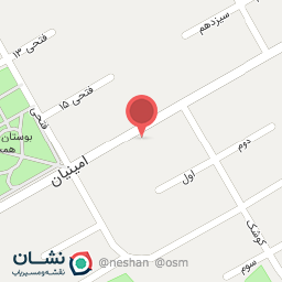 عکس کارشناسی رنگ خودرو کیان