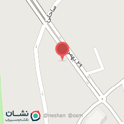 عکس کفش گونش