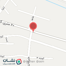 عکس فست‌فود پیک