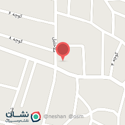 عکس کفش محمد پور