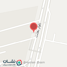 عکس پرنده فروشی حامد