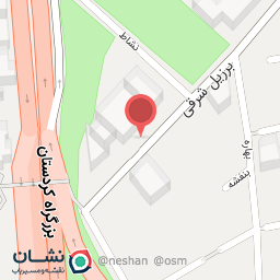 عکس خودپرداز ملی