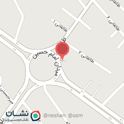 عکس پاچین مرغ