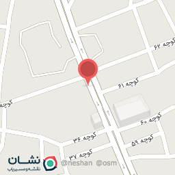 عکس تزئینات اتومبیل ناصر