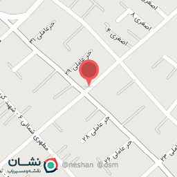 عکس فست فود