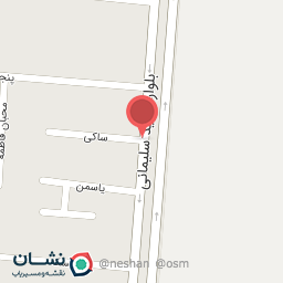 عکس علی چراغی