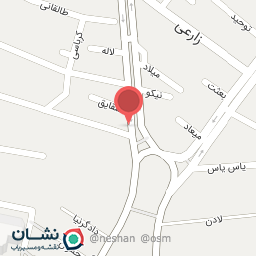 عکس دکتر نسیم خدامی