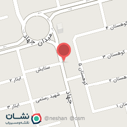 عکس پیتزا گندم 