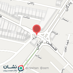 عکس ساندویچ و مرغ بریان تپلی